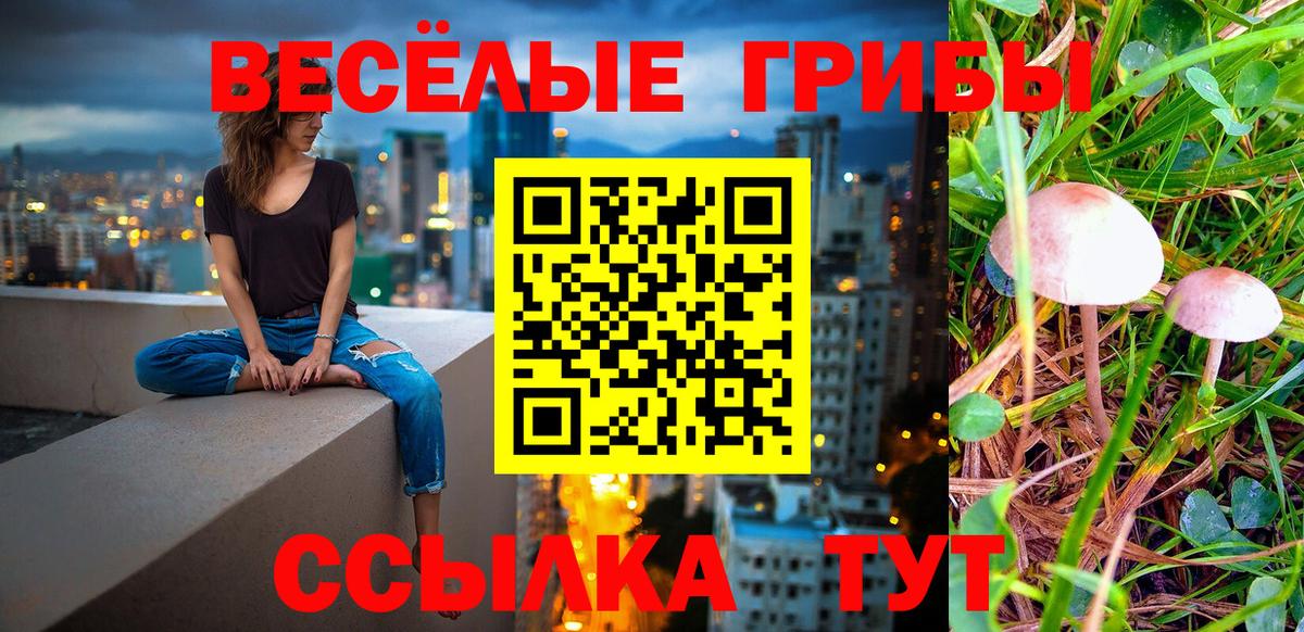 Псилоцибиновые грибы Magic Shrooms Керчь